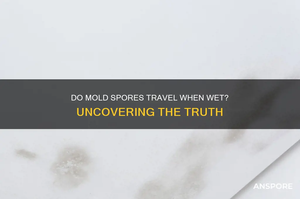 do mold spores travel when wet