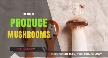 Mold and Mushrooms: What's the Connection?