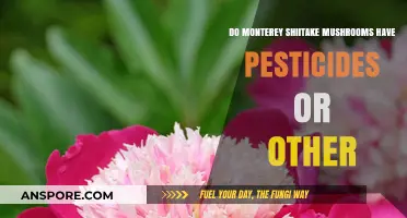 Monterey Shiitake Mushrooms: Pesticide-Free or Chemical Concerns?