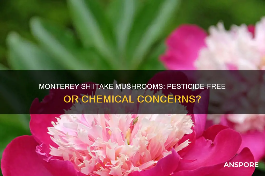 do monterey shiitake mushrooms have pesticides or other