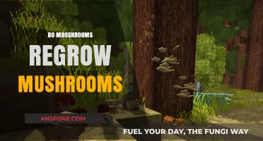 How to Regrow Mushrooms on Mooshrooms?