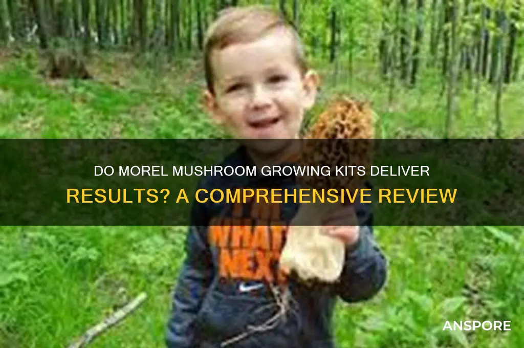 do morel mushroom growing kits work