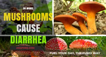Can Morel Mushrooms Cause Diarrhea? Facts and Myths Explained