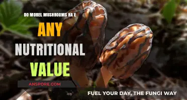 Exploring Morel Mushrooms: Nutritional Benefits and Culinary Uses Revealed