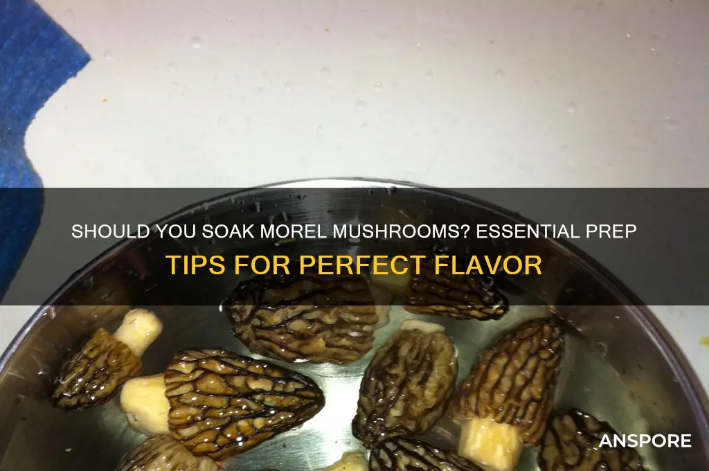 do morel mushrooms have to be soaked