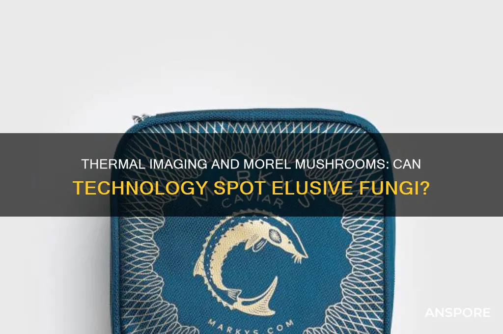 do morel mushrooms show up on thermal imaging