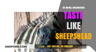 Morel Mushrooms vs. Sheepshead: A Taste Comparison You Won't Expect