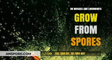 Mosses and Liverworts: Unveiling Their Spore-Based Growth Secrets