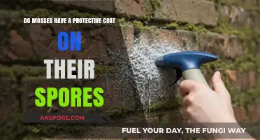 Moss Spores' Protective Coat: Unveiling Nature's Tiny Armor Secrets