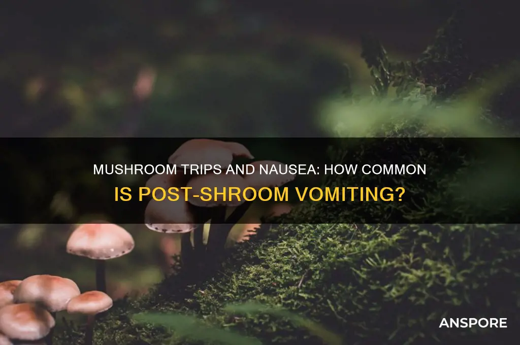 do most people throw up after doing mushrooms