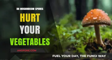 Can Mushroom Spores Harm Your Vegetable Garden? Facts and Tips