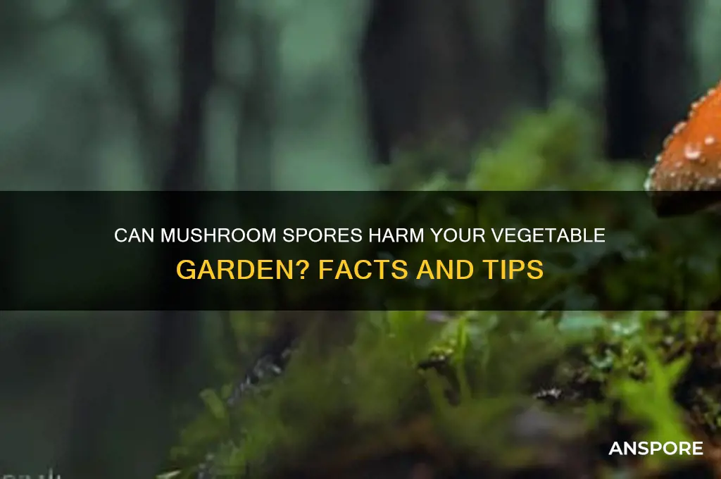 do mushhroom spores hurt your vegetables
