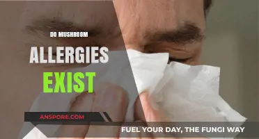 Mushroom Allergies: Fact or Fiction?