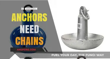 Mushroom Anchors: Why You Need a Chain