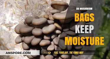 Mushroom Bags: Moisture Retention Secrets