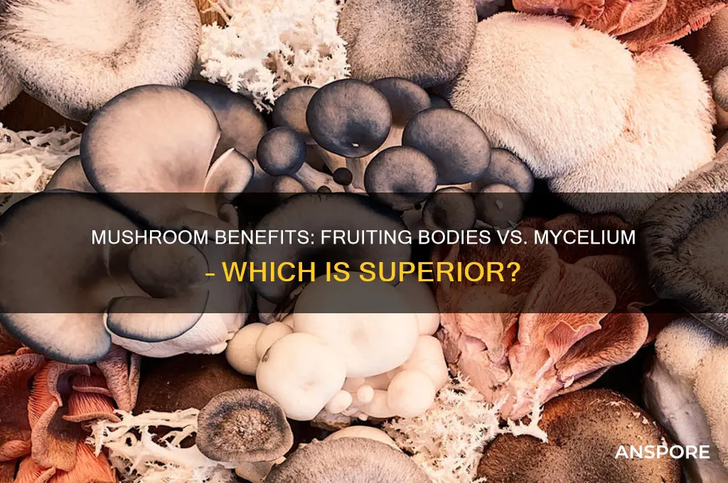 do mushroom benefits come from the fruiting bodies or mycelium