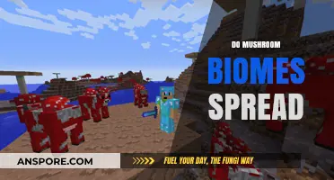 Mushroom Biomes: Spreading and Their Intriguing Nature