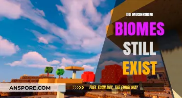 Mushroom Biomes: Do These Fungi Realms Still Exist?