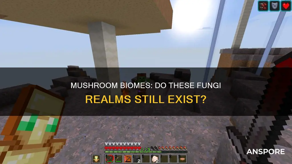 do mushroom biomes still exist