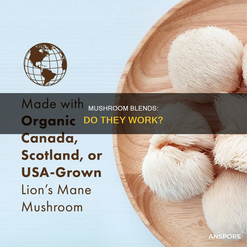 do mushroom blends work