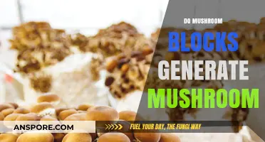 Mushroom Blocks: Do They Generate Mushrooms?