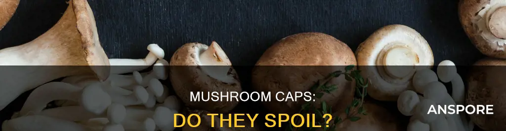 do mushroom caps go off
