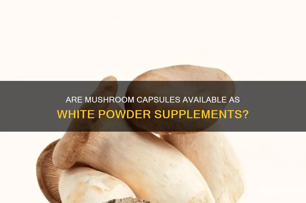 do mushroom capsules ever come in a white powder form