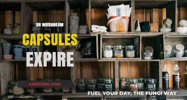 Mushroom Capsules: Do They Expire?