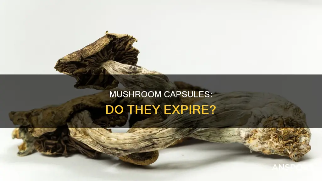 do mushroom capsules expire