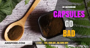 Do Mushroom Capsules Expire? Shelf Life and Storage Tips