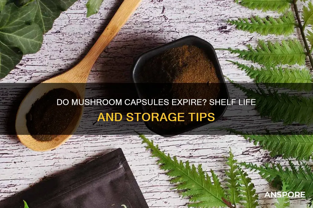 do mushroom capsules go bad