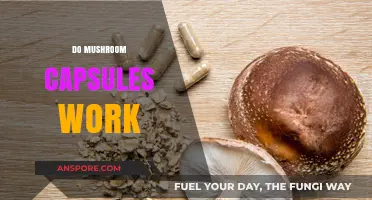 Mushroom Capsules: Do They Work?