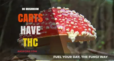 Mushroom Carts and THC: What's the Deal?