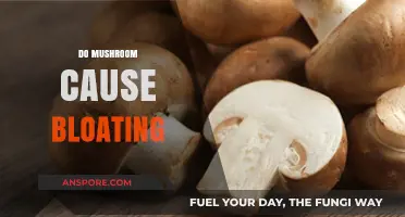 Mushroom Consumption: Does it Cause Bloating?