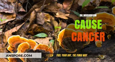 Mushrooms and Cancer: Friend or Foe?