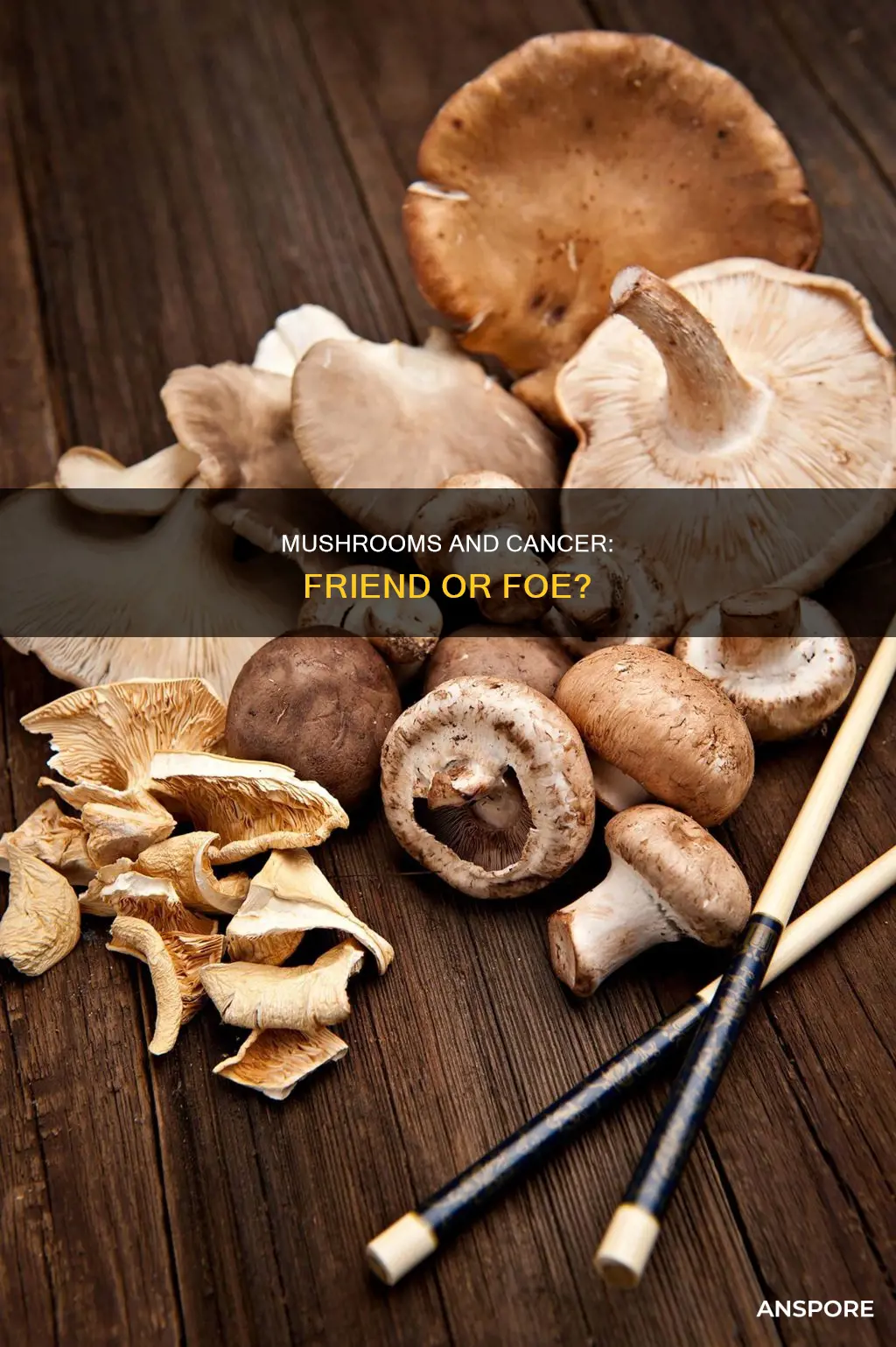 do mushroom cause cancer