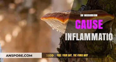 Mushrooms: Friend or Foe in Fighting Inflammation?