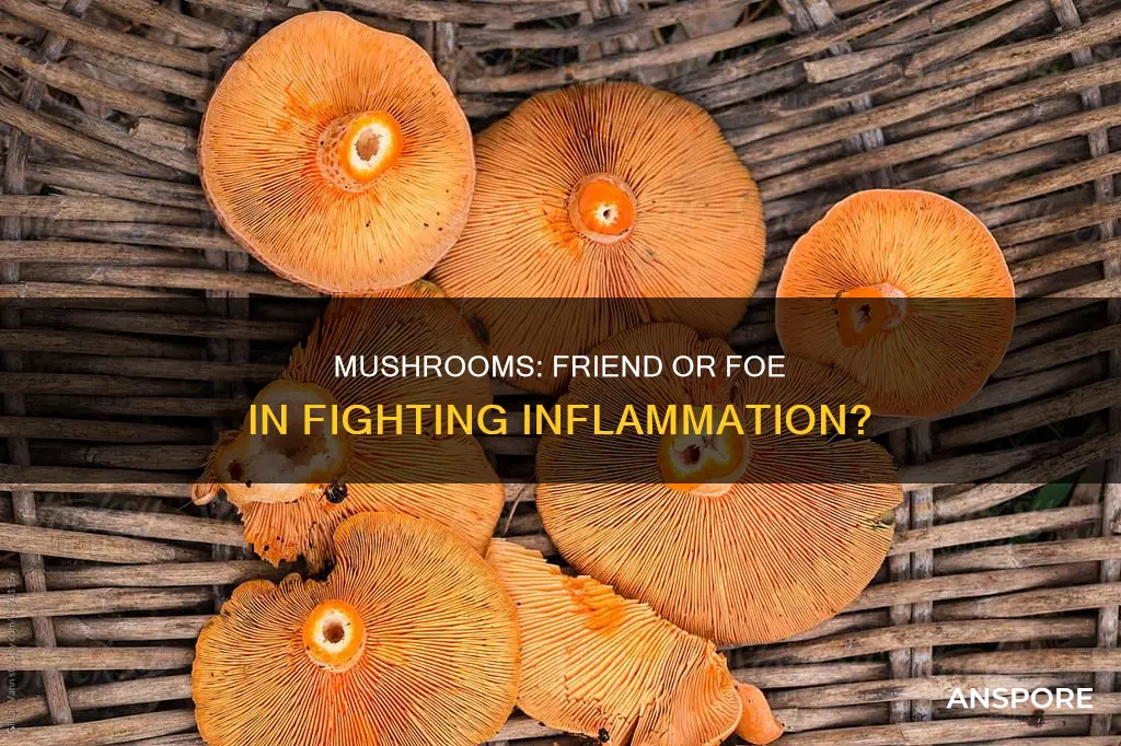 do mushroom cause inflammation
