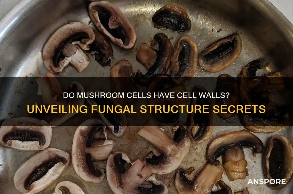 do mushroom cells have cell walls