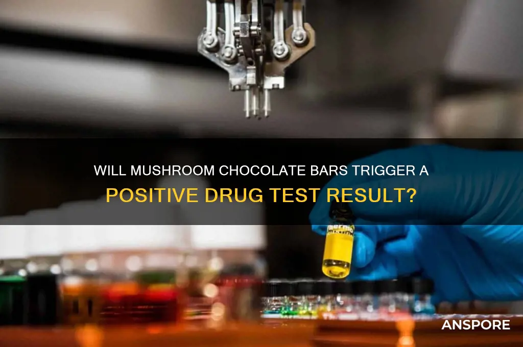 do mushroom chocolate bars show up on drug test