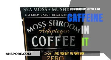 Mushroom Coffee and Caffeine: Unveiling the Truth Behind the Brew