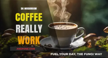 Mushroom Coffee: Superfood or Super-hype?