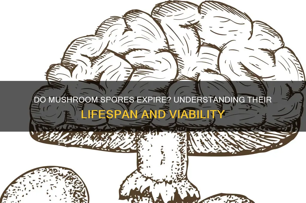 do mushroom come from spores expire