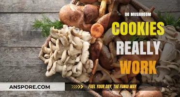 Mushroom Cookies: Do They Work?