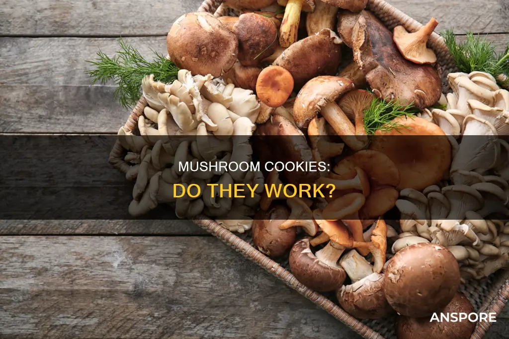 do mushroom cookies really work