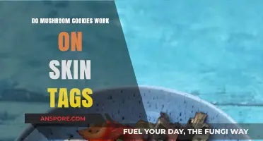 Mushroom Cookies for Skin Tags: Effective Treatment or Myth?