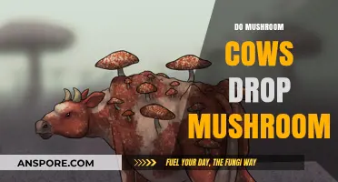 Mushroom Cows: Do They Drop Edible Fungi?