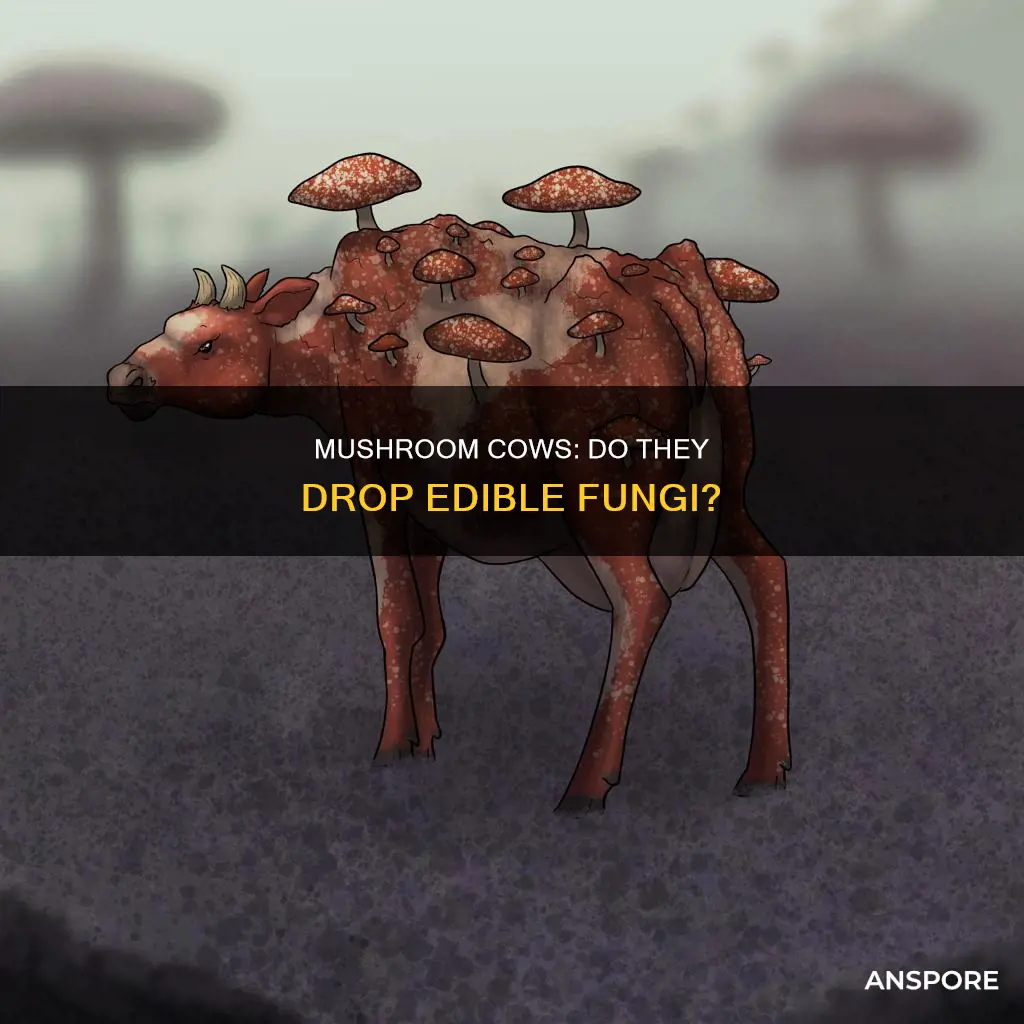 do mushroom cows drop mushrooms