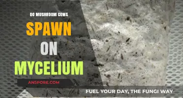 Do Mushroom Cows Spawn on Mycelium? Exploring Minecraft's Unique Mobs