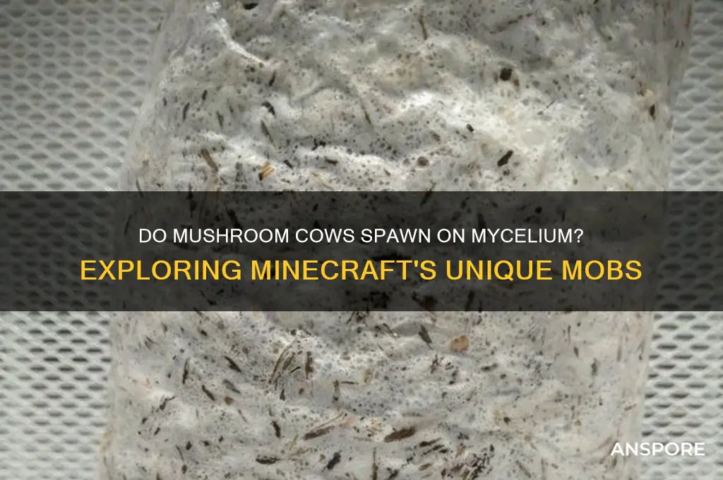do mushroom cows spawn on mycelium